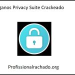 Steganos Privacy Suite Crackeado